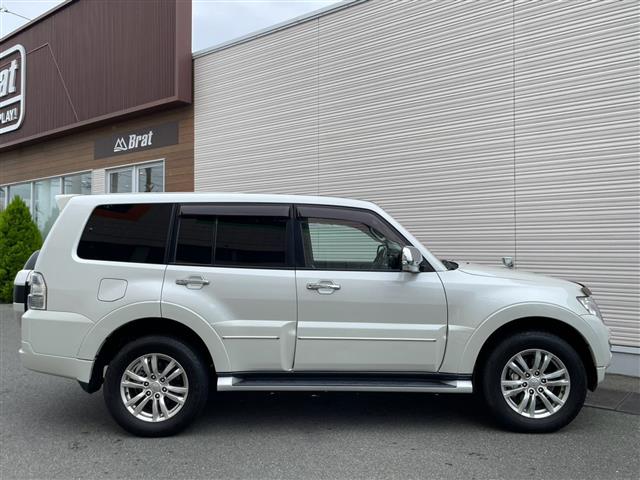 Mitsubishi Pajero 8