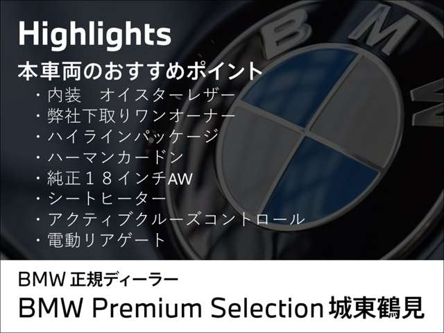 BMW X1 3