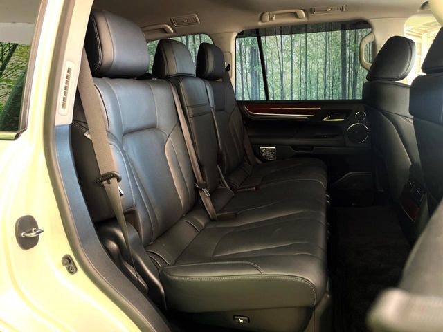 Lexus LX 10