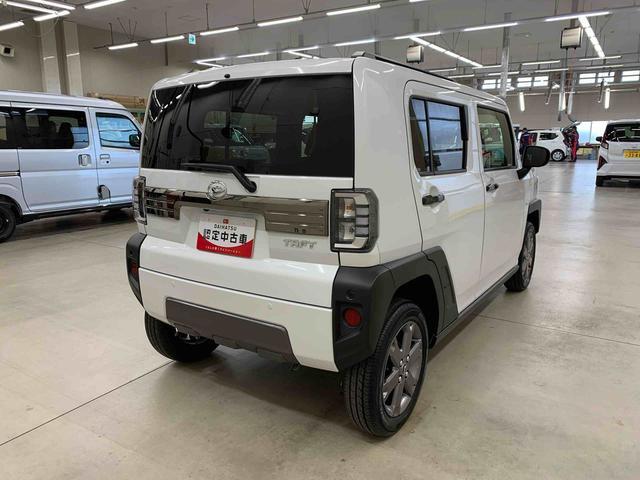 Daihatsu Taft 11