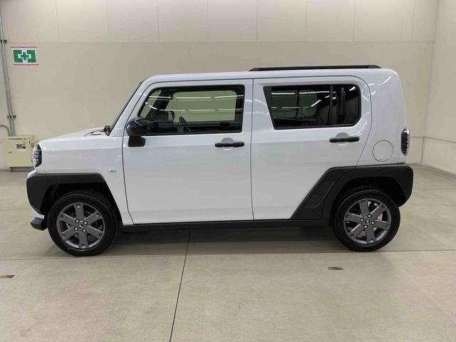 Daihatsu Taft 8