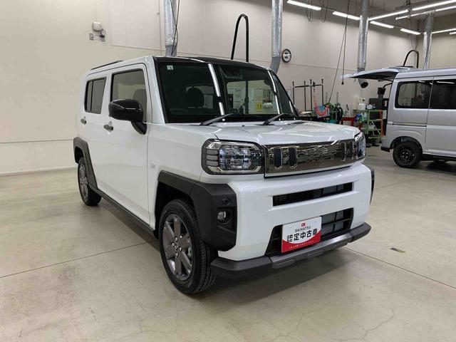 Daihatsu Taft 9