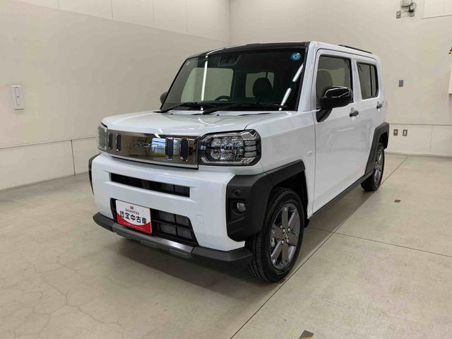 Daihatsu Taft 10