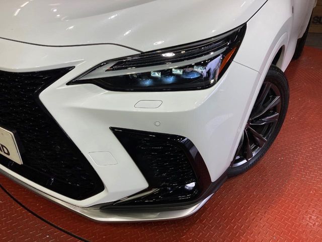 Lexus NX 11