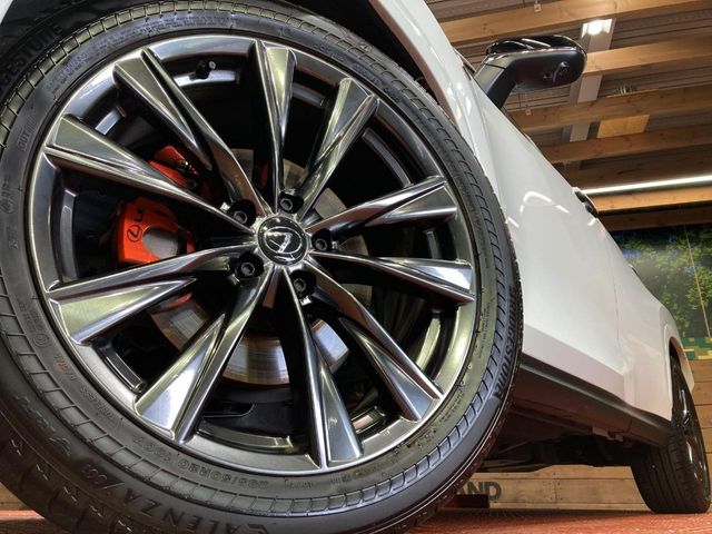 Lexus NX 12