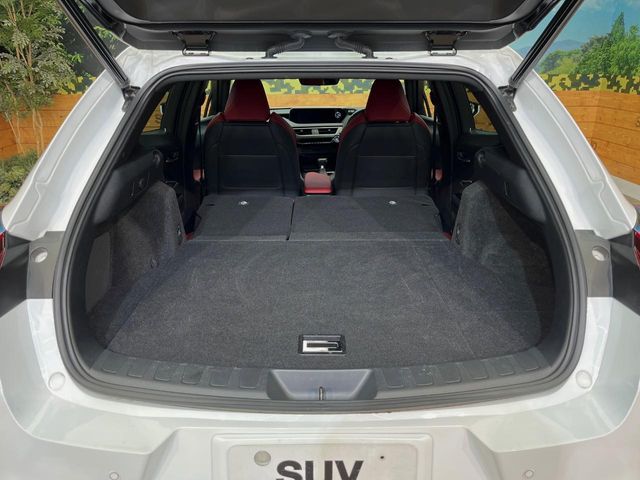 Lexus UX 11