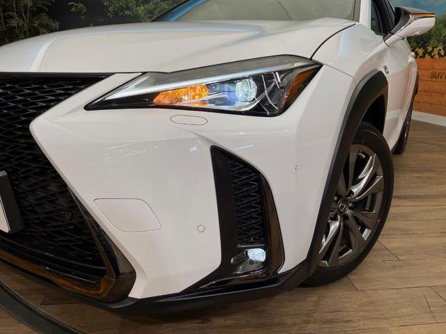 Lexus UX 12
