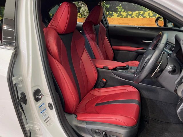 Lexus UX 9