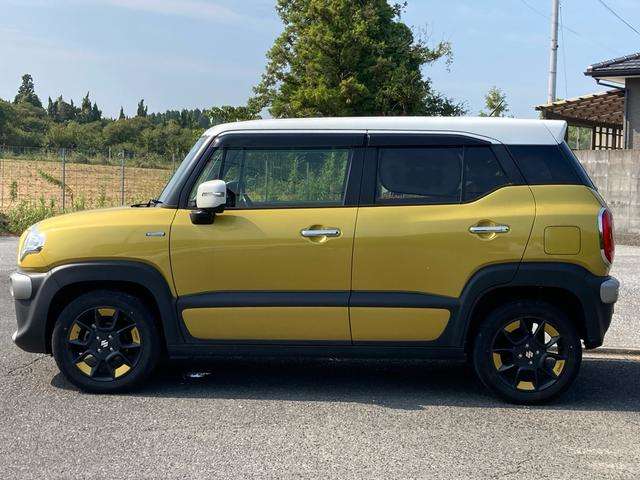 Suzuki XBEE 6