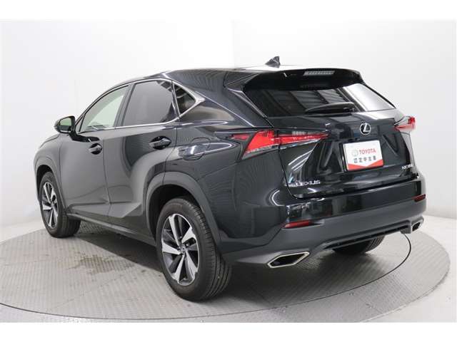 Lexus NX 7