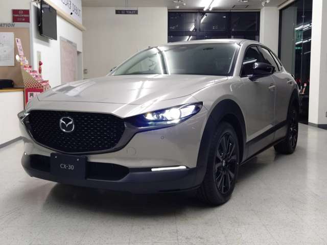 Mazda CX-30 3