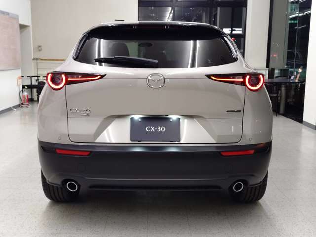 Mazda CX-30 6