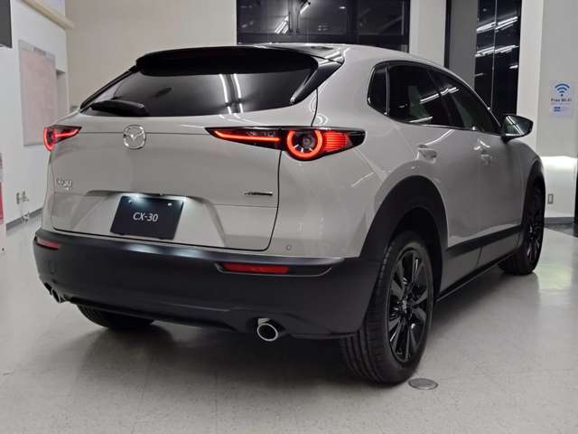 Mazda CX-30 7