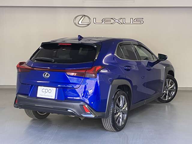Lexus UX 12