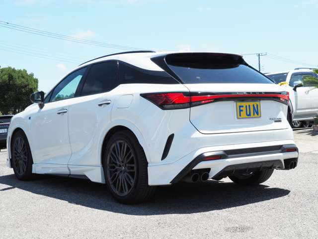Lexus RX 6