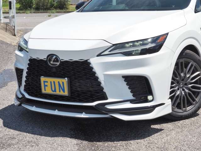 Lexus RX 10