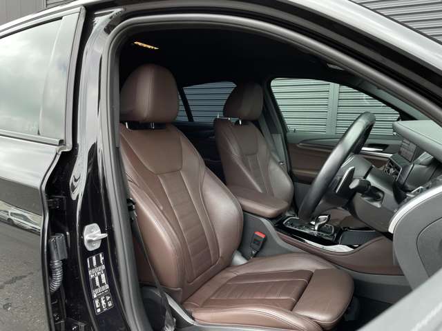 BMW X4 10