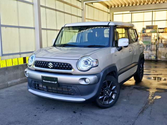 Suzuki XBEE 7