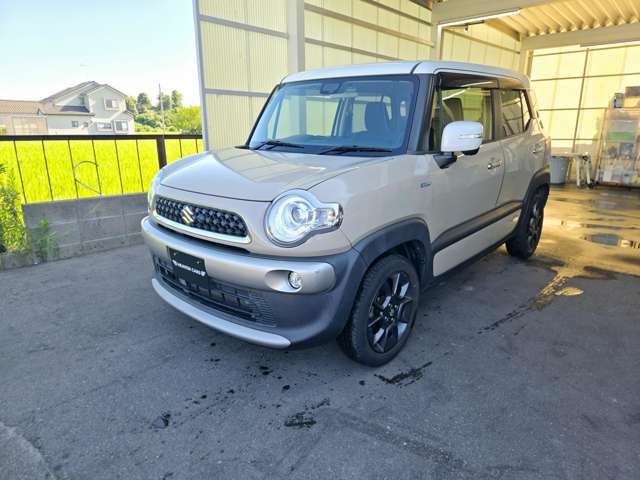 Suzuki XBEE 10