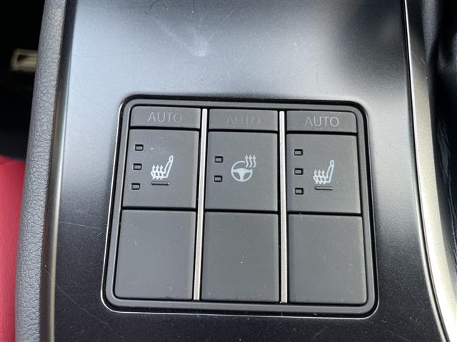 Lexus UX 12