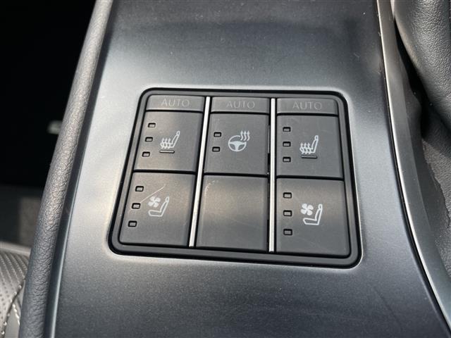 Lexus UX 9