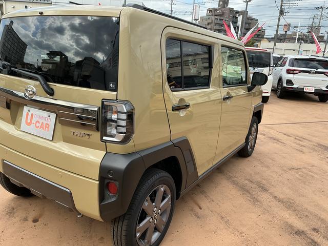Daihatsu Taft 8