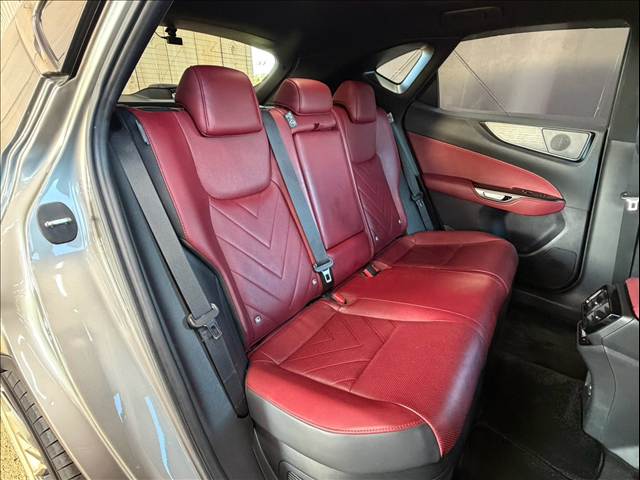 Lexus NX 12