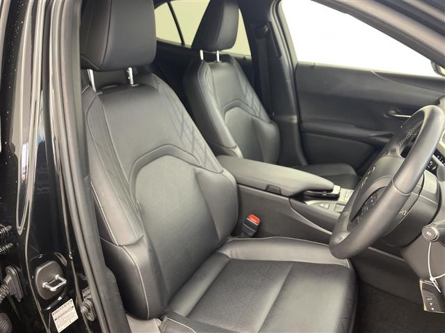 Lexus UX 12