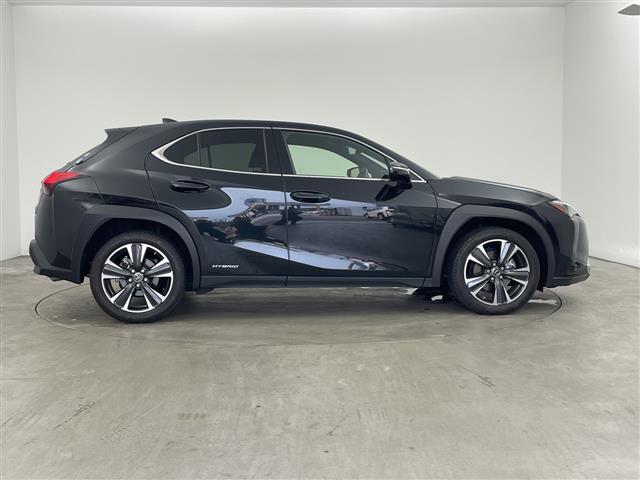 Lexus UX 8