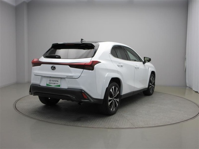 Lexus UX 6