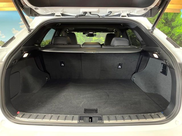 Lexus RX 10