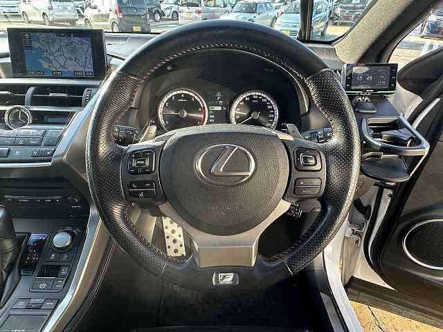 Lexus NX 4