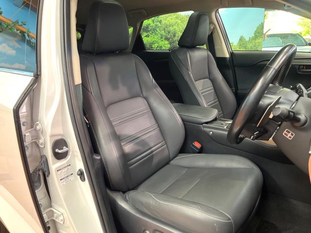 Lexus NX 11