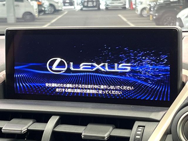 Lexus NX 4