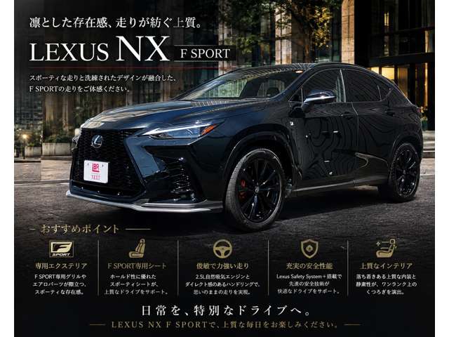 Lexus NX 2