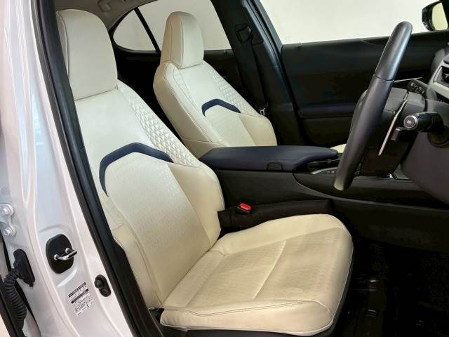 Lexus UX 11