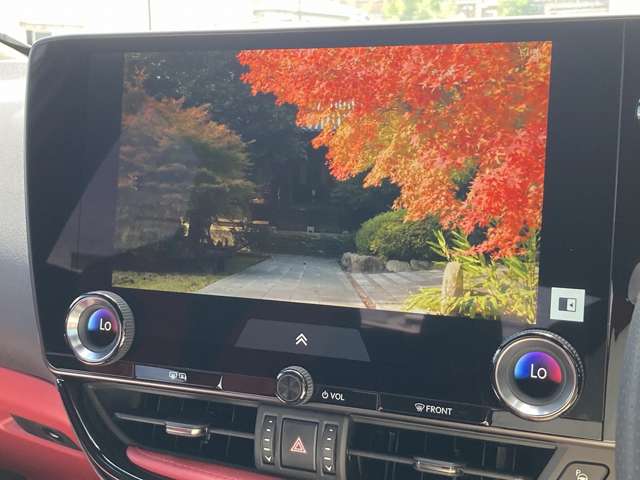Lexus NX 6