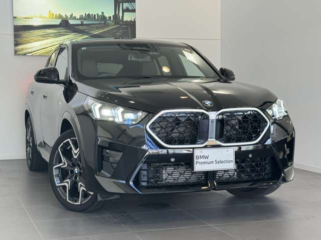 BMW X2 9