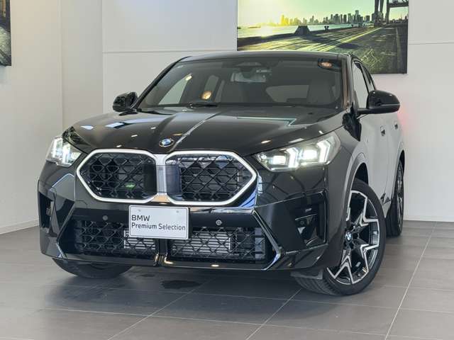 BMW X2 10