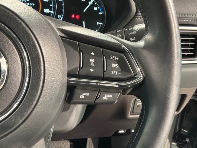 Mazda CX-8 11