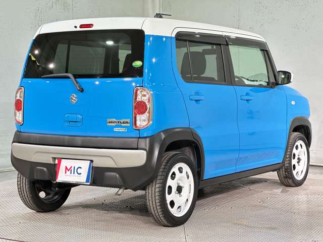 Suzuki Hustler 6