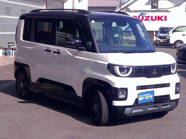 Mitsubishi Delica Mini 3
