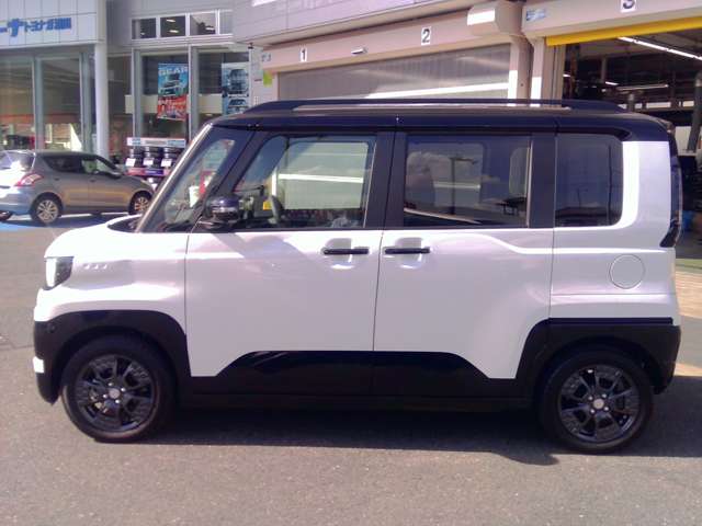 Mitsubishi Delica Mini 5