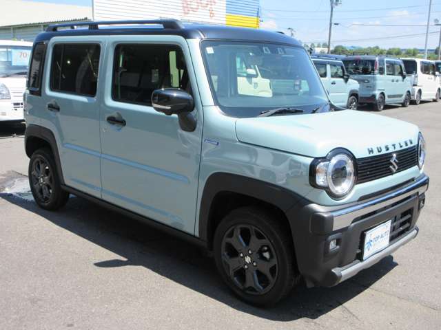 Suzuki Hustler 11
