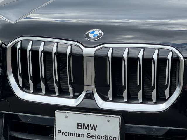 BMW X1 10