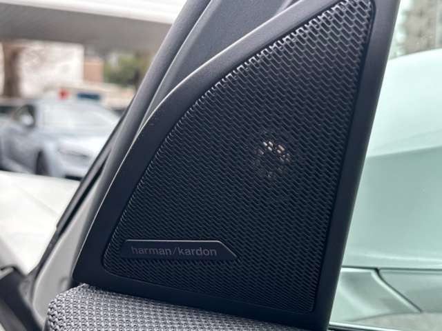 BMW X3 9