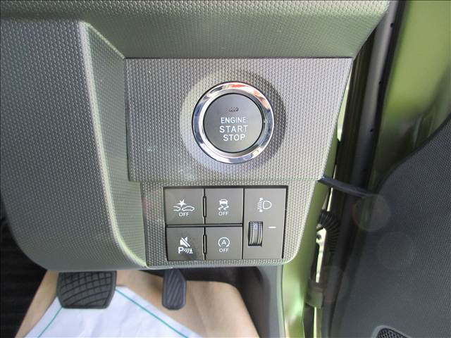 Daihatsu Taft 11