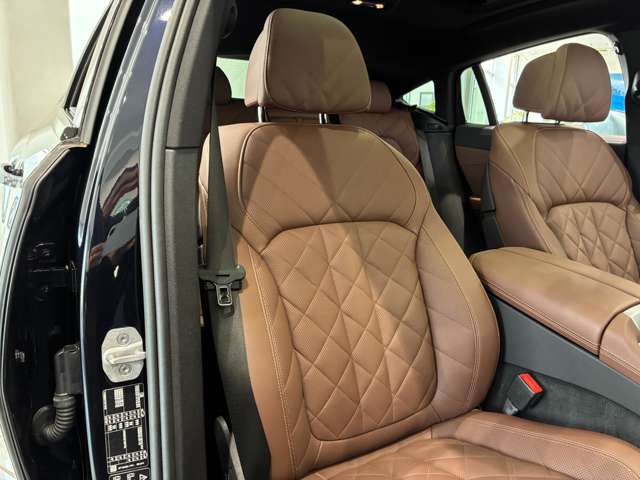 BMW X6 10