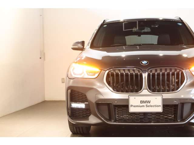 BMW X1 10