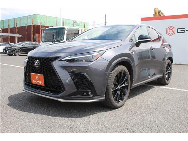 Lexus NX 11